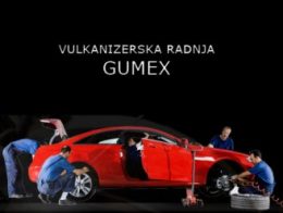 Auto gume Gumex